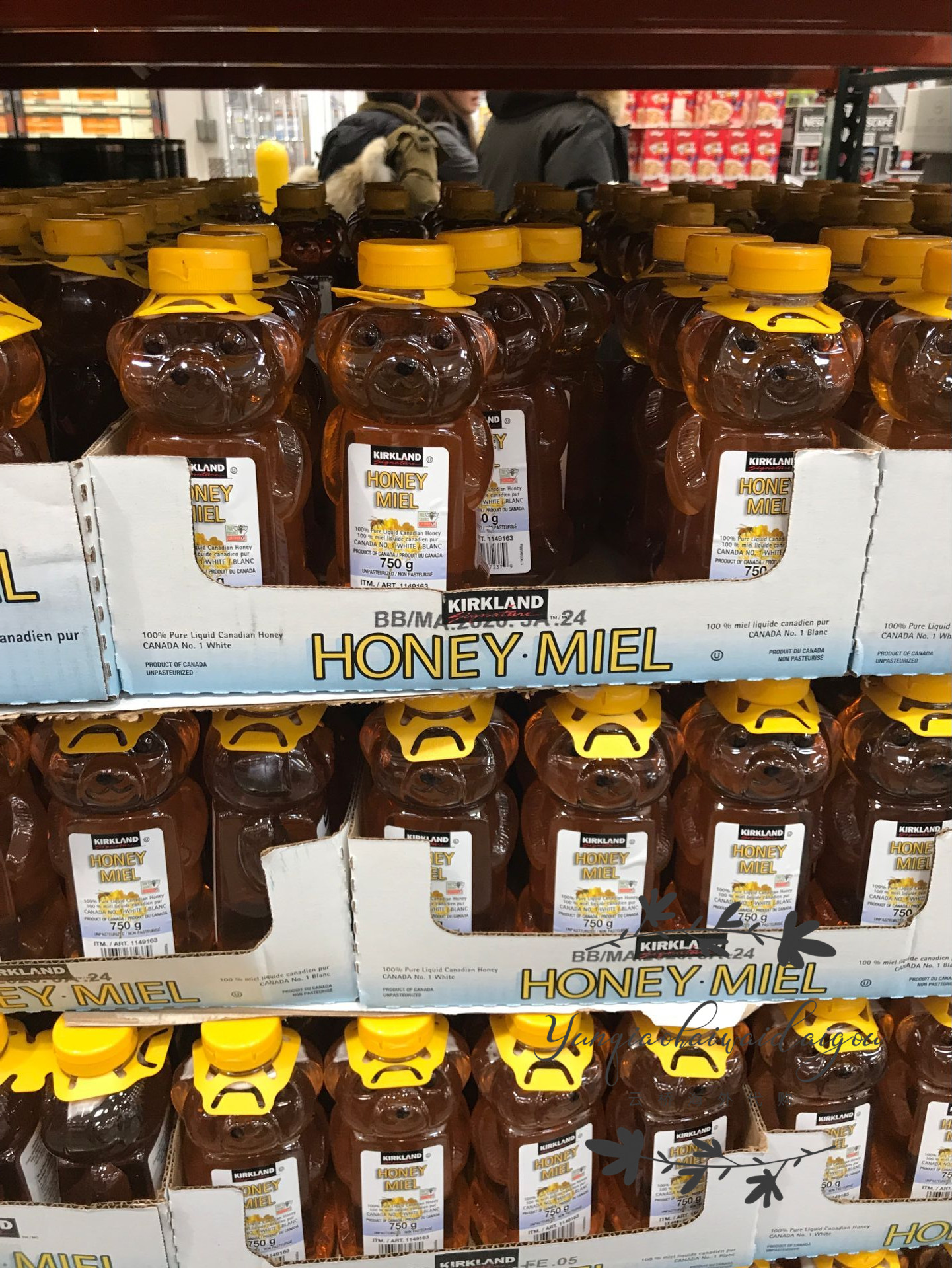 Spot Canada kirkland can be a small bear honey 750g 100% pure honey
