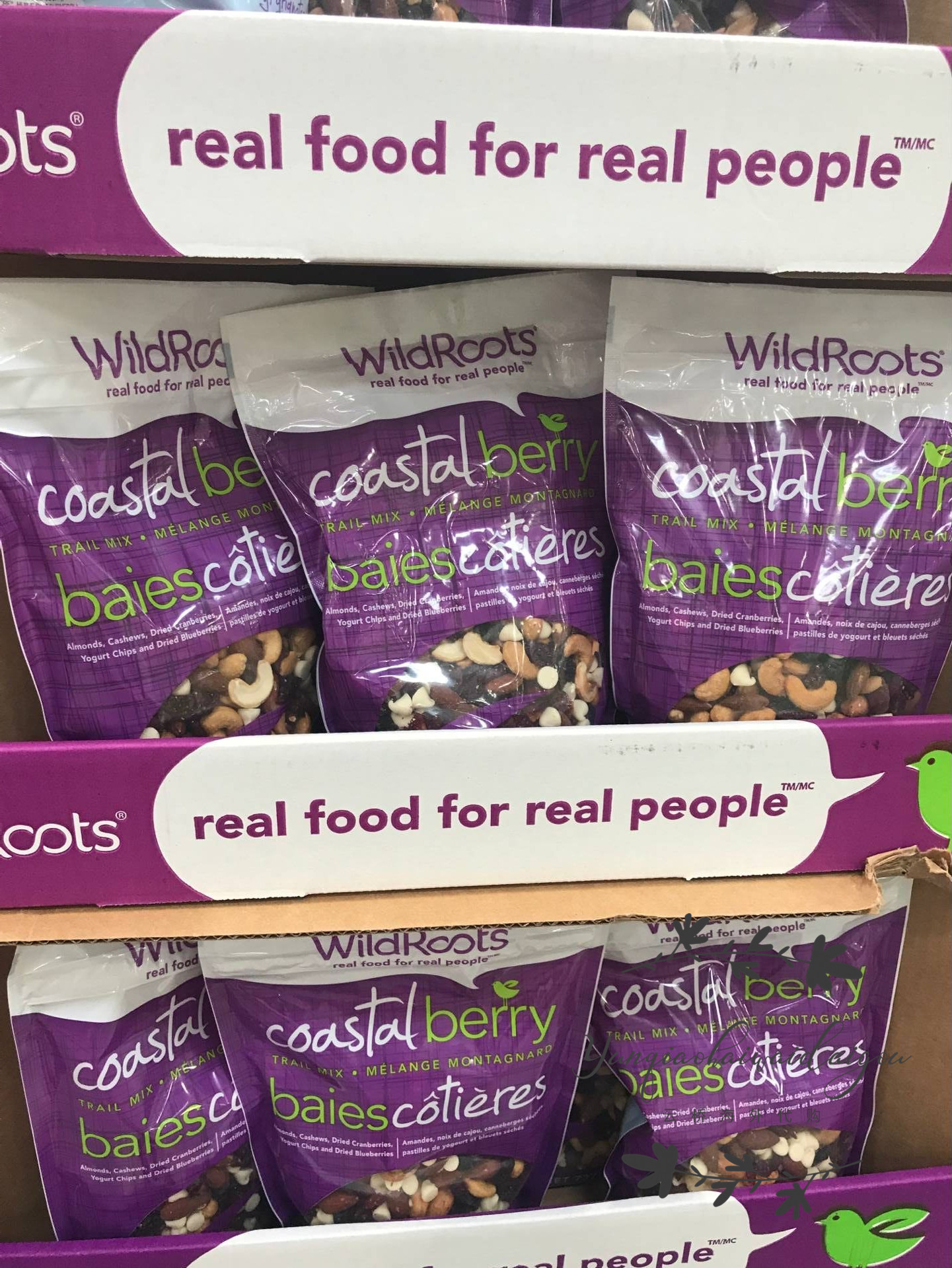 Spot Canada WILD ROOTS100 % natural nut fruit dried yogurt bean mixed snack 737g