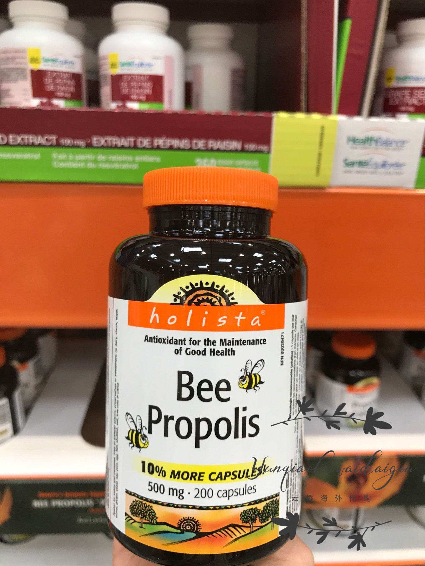 Spot Canada Holista Bee Propolis Propolis Softgels 500mg*200 Capsules