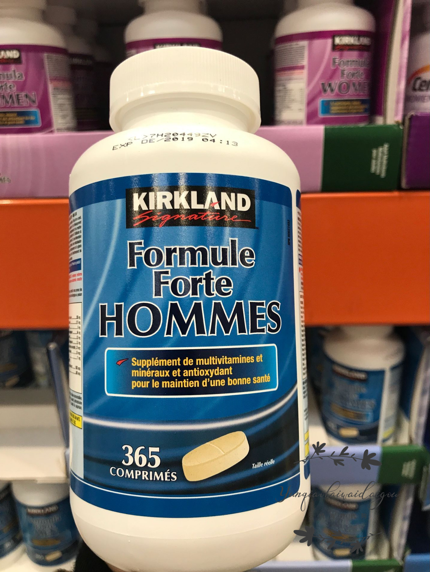 Spot Canada Kirkland Kolan men's multivitamin mineral tablets 365 capsules