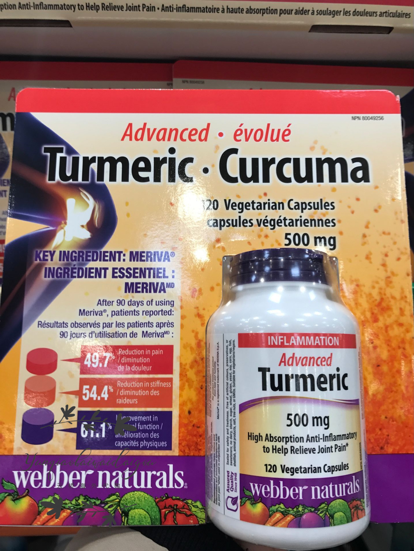 Spot Canadian webber naturals TURMERIC Webber Curcuminn 120 grains