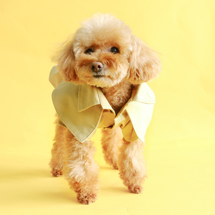 Cute Dog Coat Image 3