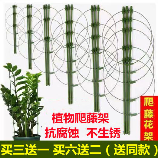 Vine plant climbing vine shelf flower stand wood fragrance climbing vine climbing rose ball orchid gardening support support