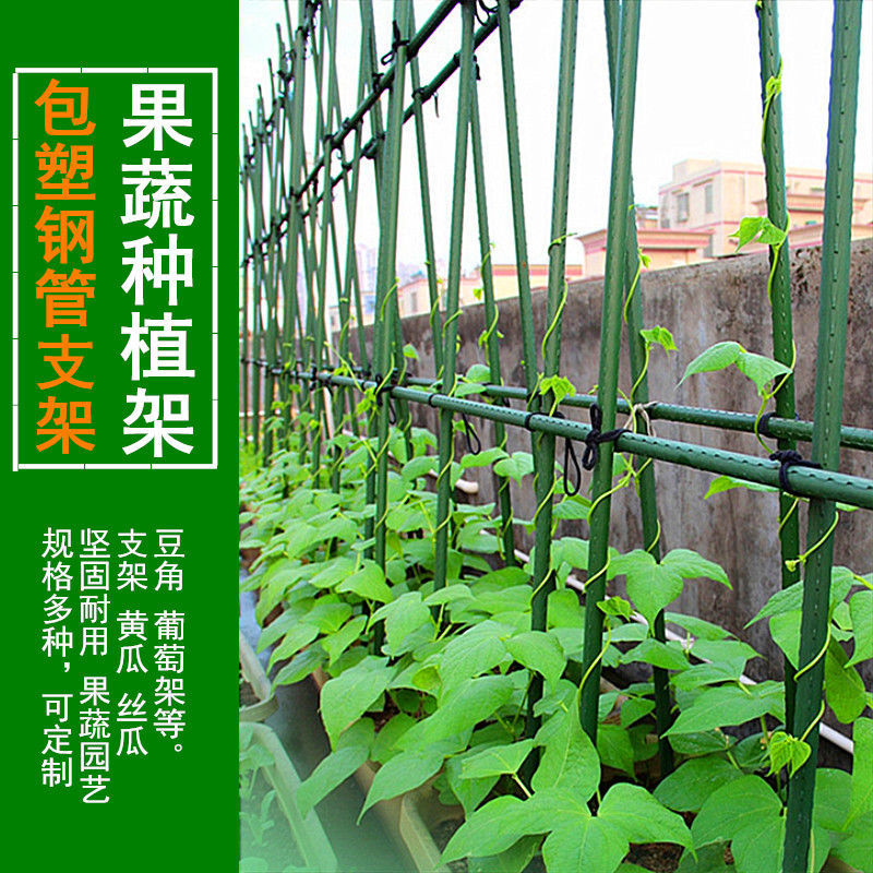 Vine-Plant Climbing Rattan Rack Subflorato Climbing Vine-Type Plant Climbing Lunar Season Balls Orchid Gardening Bracket Support