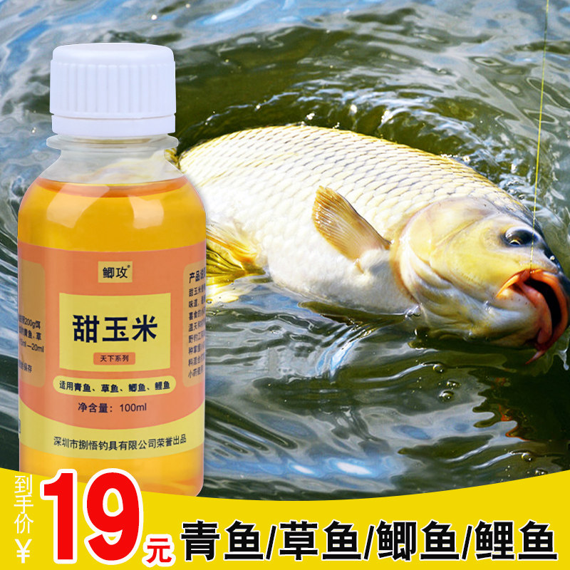 Sweet corn flavor fishing special wild fishing black pit bait additive crucian carp lure fishing bait additive