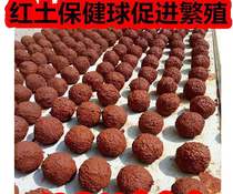 Tiger skin Peony little sun monk parrot Laterite nutrition and health sand health ball to promote reproduction Minerals