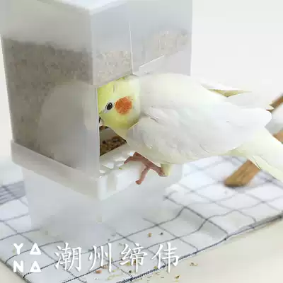Tiger skin peony parrot starlings Jade Bird Pacific automatic feeder automatic feeder splash proof box water