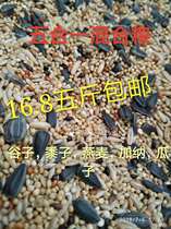 Tiger skin peony Xuanfeng Small and medium-sized parrot bird food Yellow millet five-color Millet parrot mixed nutritional food