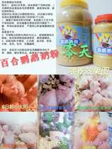 Nutrition Lily parrot milk powder Young bird Peony Xuanfeng Small Sun Golden Sun monk gray machine send spoon