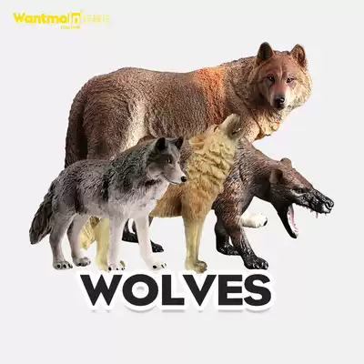Play model wild wolf model simulation animal plastic big gray wolf grassland Wolf solid wild animal model toy