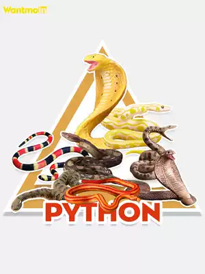 Wantmoin play model snake model Cobra rattlesnake Python ornaments realistic wild animal model