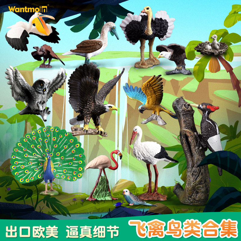 Play Molle Quality Solid Flying Bird Model Parrot Eagle Owl Ostrich Peacock Peacock Phoenix Model Toy