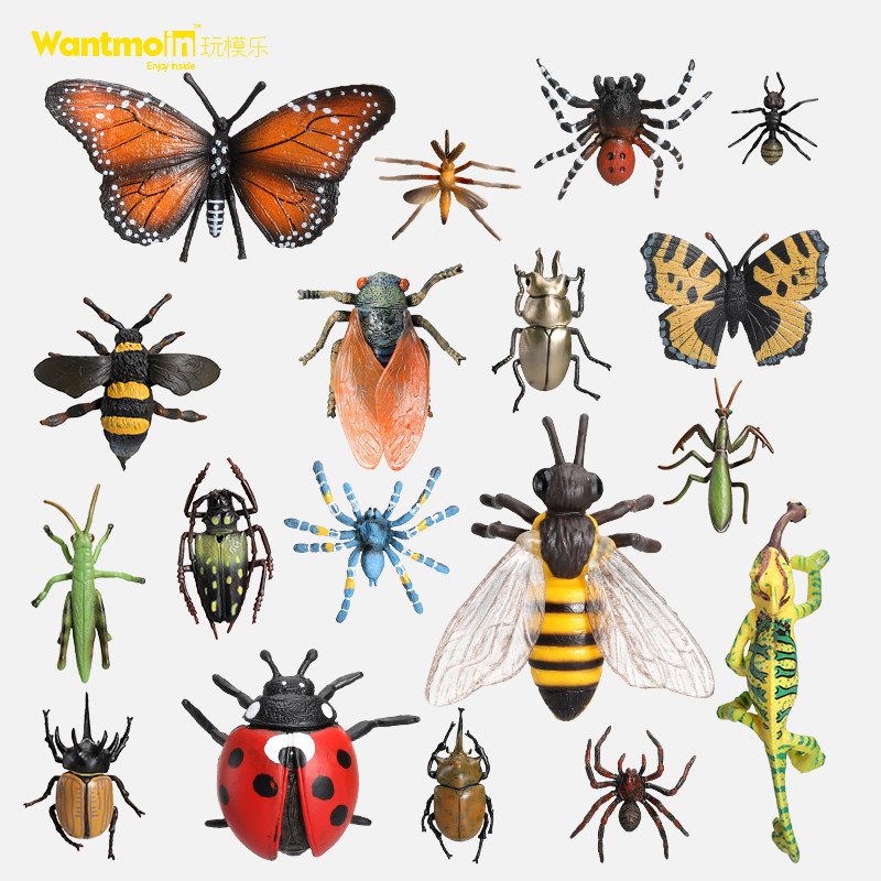 Play model fun Children's simulation insect animal model toy Spider Bee Butterfly Dragonfly One-horned fairy Ladybug Centipede