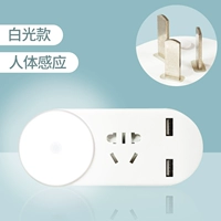 Физиологичная индукционная лампа