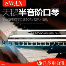 Swan brand adult students beginner professional practice playing 10 holes 12 holes 14 holes 16 holes semi harmonica