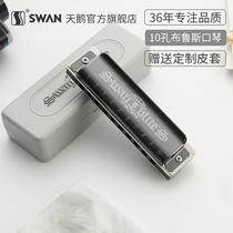 10 holes Blues Harmonica blues students adult ten holes C tune advanced professional quasi-performance signature harmonica