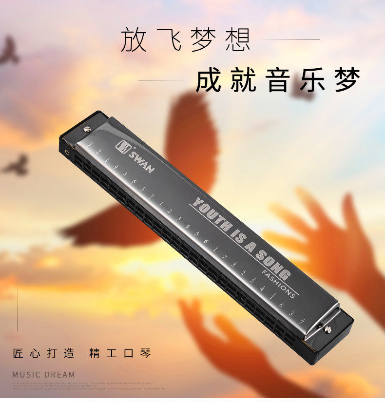 Swan harmonica 24 holes single tone Retone C Large tune adult student Children practice teacher recommended to play the mouth organ