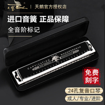 German imported sound Reed Swan 24-hole polyphonic harmonica advanced adult professional performance C tune beginner students