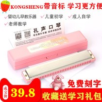 Environmentally friendly resin 10 holes 24 holes harmonica children infants and young children primary school students beginner organ musical instruments