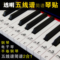 Key sticker 88 key 61 key transparent staff note Sound label sticker electronic piano player coupon universal key sticker