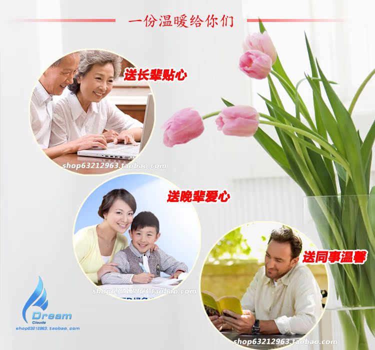 Coussin chauffant USB Le Japon et la Corée du Sud - Ref 423701 Image 17
