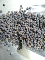 Wild Ligustrum lucidum 250g good product picked from deep mountains