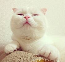 The cost of the freight is poor