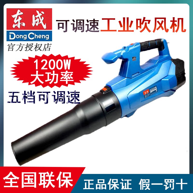 Dongcheng hair dryer high-power blower household small blower computer dust cleaning 220v powerful industrial vacuum cleaner
