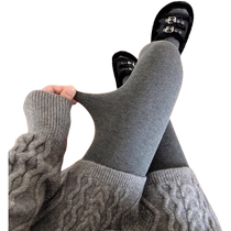 Smoke Gray Pantyhose Womens Autumn and Winter 2024 New Encore Wear Thickened Leggings Warm Foot Socks