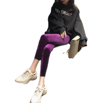 Gold velvet leggings for womens outer wear in autumn and winter plus velvet and thickened magic pants for small people stretch slimming high-waisted petite pants