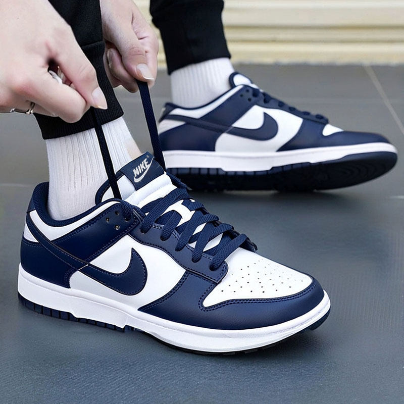 Nike Dunk Low Men's Sports Shoes Autum Low-Top Sneakers Lightweight Casual Hf5441-107