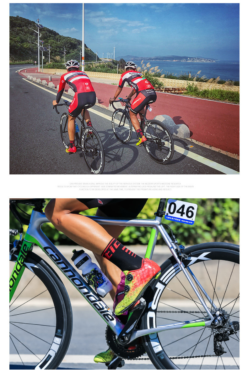 Альфа -сцена диаграмма_02.jpg