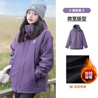[Один стиль для мужчин и женщин] M13CA6V128C Night Purple