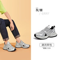 L24S229086M, Grey/Silver, [мужской сингл]