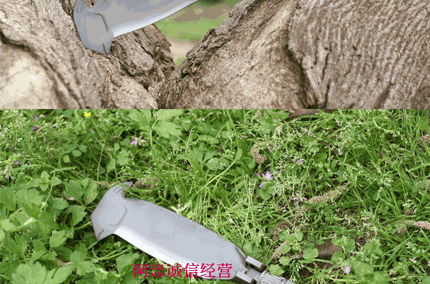 Lưỡi cưa xẻng Điểm Suzaku hatchet Đức nhập khẩu thép công cụ Xẻng gấp đa chức năng ngoài trời - Công cụ Knift / công cụ đa mục đích bộ xẻng đa năng