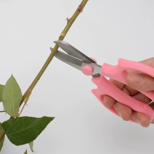 诗静歆 Щипцы из пирсинга розы, чтобы удалить удары в цветочном магазине розовой дух, чтобы шип