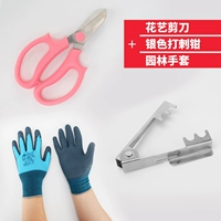 Серебряные шипы+перчатки+разрез цветка