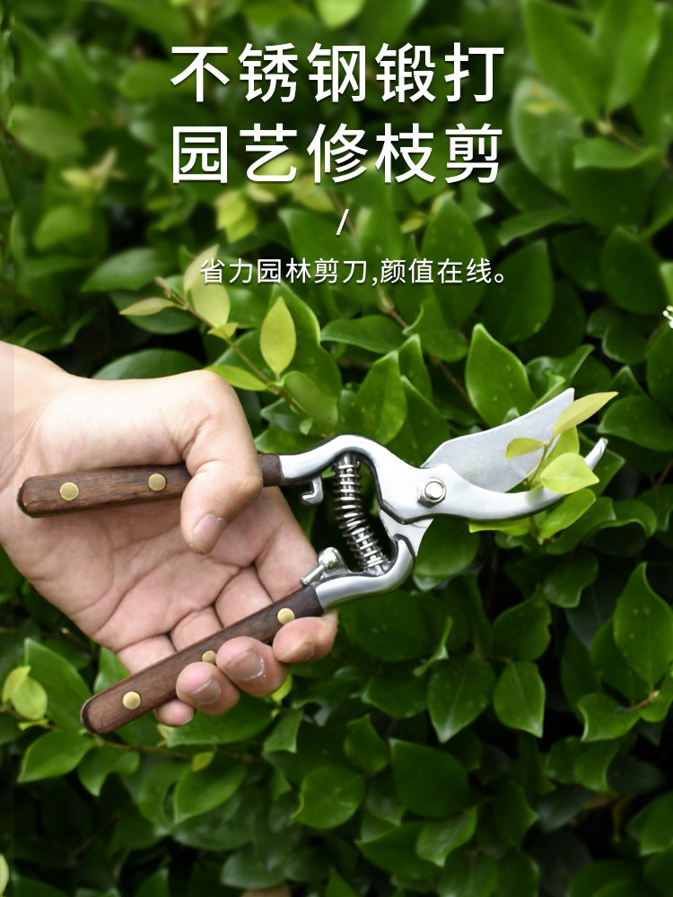 Pruning fruit tree pruning scissors Gardening garden pruning scissors Household powerful scissors artifact Flower scissors Pruning scissors