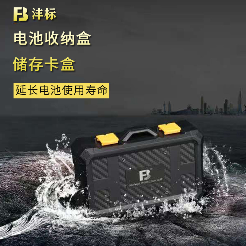 Fengbiao memory card storage box for Canon Sony Nikon camera battery storage case SD CF memory card.