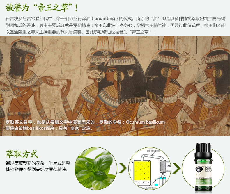 Afrarol tinh dầu 10 ml thu nhỏ lỗ chân lông kiểm soát dầu sạch lỗ chân lông dầu duy nhất tinh dầu thơm dầu húng chanh