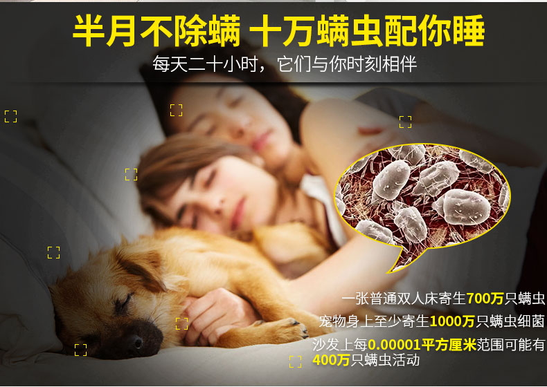 chai xịt côn trùng Hộ gia đình dùng mite xịt giường nệm thảo dược Trung Quốc để mites gói dùng một lần chống tiệt trùng dán - Thuốc diệt côn trùng bình xịt côn trùng loại nhỏ