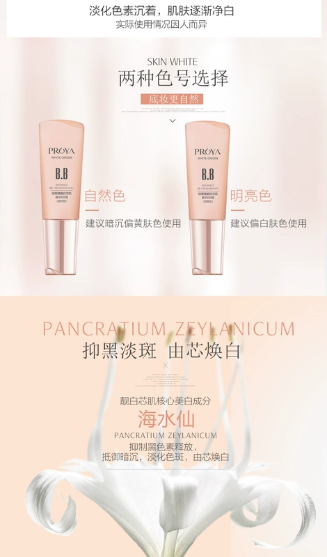 靓 白 采 BB cream Kem che khuyết điểm làm trắng vết thâm làm sáng da nền trang điểm bền màu