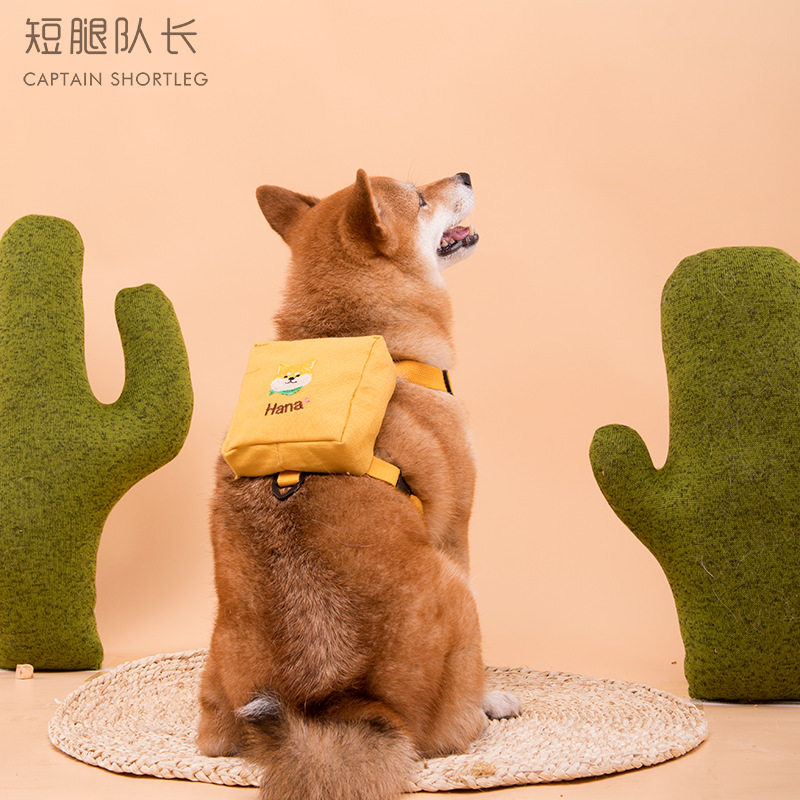 Short leg captain let it carry a pet self - bag embroidery bag bag bag bag body can customize the dog name