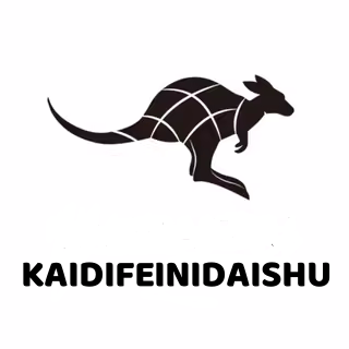 凯迪菲尼DAISHU真皮工厂总店