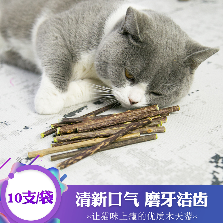 Cats grinding teeth kitten cat biting cat mint cat snack cat with cat snack cat bite wooden stick