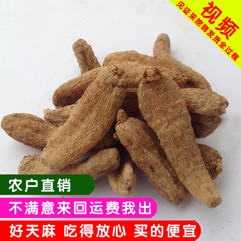 Sun-dried Gastrodia elata, directly sold by farmers, sun-dried sulfur-free Gastrodia elata, imitating wild, not Xiaocaoba, Zhaotong, Yunnan