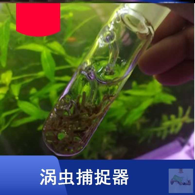 涡虫诱捕器捕涡器水族箱除虫捕蜗器水草缸线虫蚂蟥水蛭涡虫捕捉器