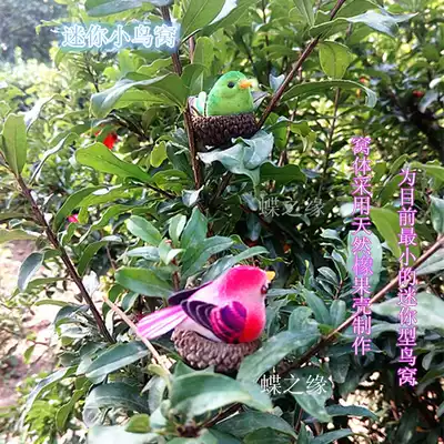 Mini natural acorn fruit shell bird nest (including birds)micro-landscape green plant simulation bird variety of random colors