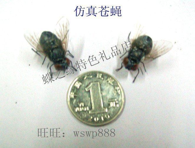 High emulation fly emulates insect insect insect refrigerators with clay insect four evils for small flies mosquitoes-Taobao