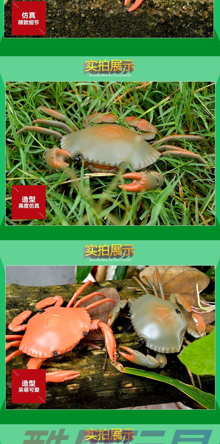 Điều khiển từ xa nhíp mô phỏng đồ chơi cậu bé động vật điện rùa cua bọ nhện sạc mô hình quà tặng trẻ em do choi tre em